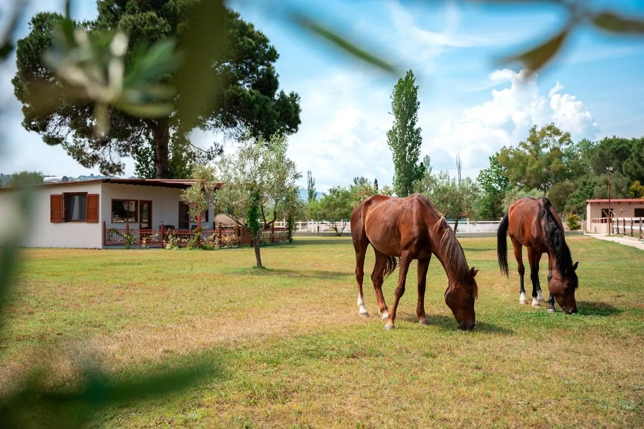 Holiday home Villa Ippoliti Ormos Panagias Greece